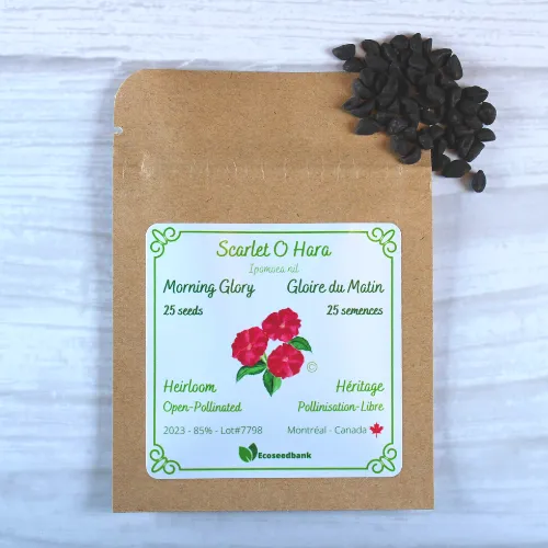 Scarlet O'Hara Morning Glory Seeds